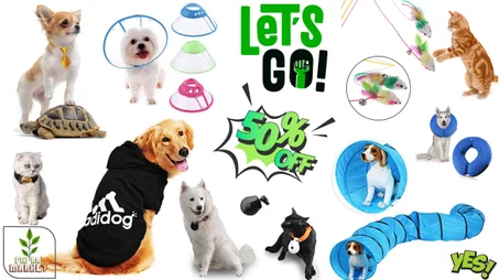 Fournitures pour Animaux