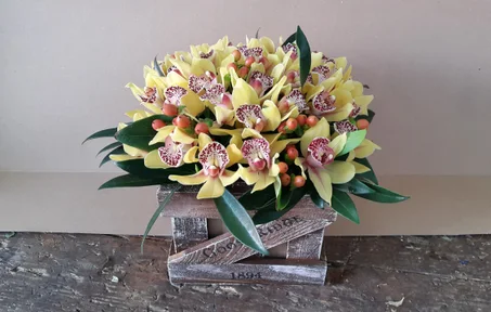 Композиции (3)