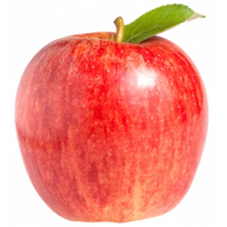 تفاح -Pomme gala import