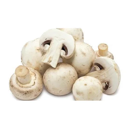 فطر-Champignons