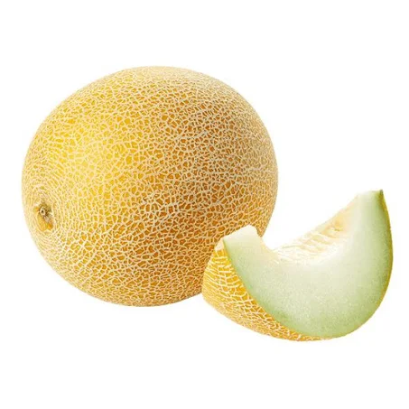 بطيخ-Melon galia 1 Pièce Environ 2kg