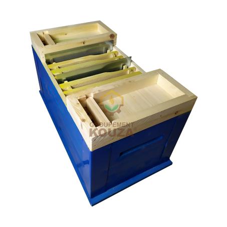 Nucléi - 4 SORTIE - MDJ