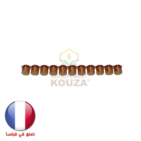 Barrette de Cupules - 11 PCS - France