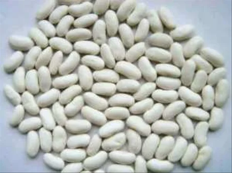 500G  لوبيا