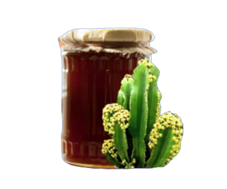 عسل الدغموس الطبيعي الحر