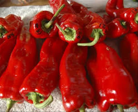 فلفل احمر بلدي