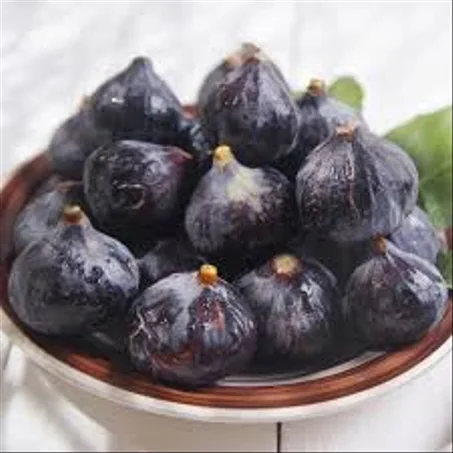 figue noir  كرموس أسود