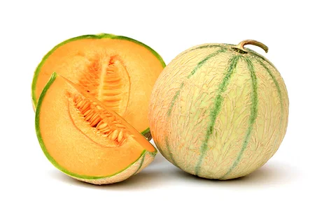melon cantaloup