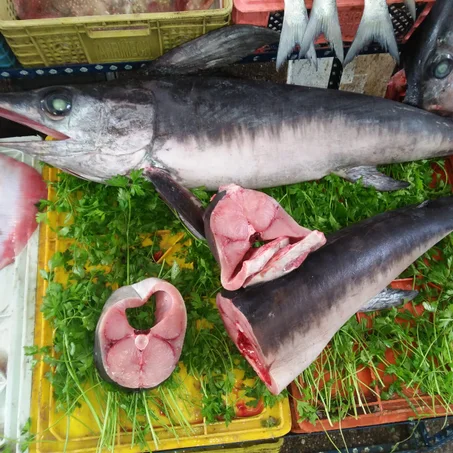 SPADO صبادو ( kg )