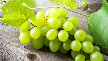 عنب اخضر