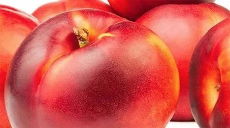 الخوخ الممتاز