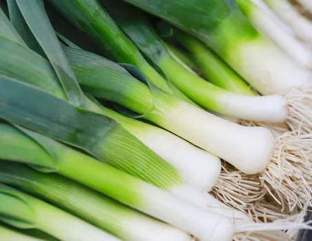 poireau الكراث