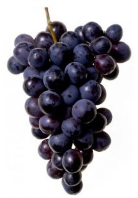 عنب اسود