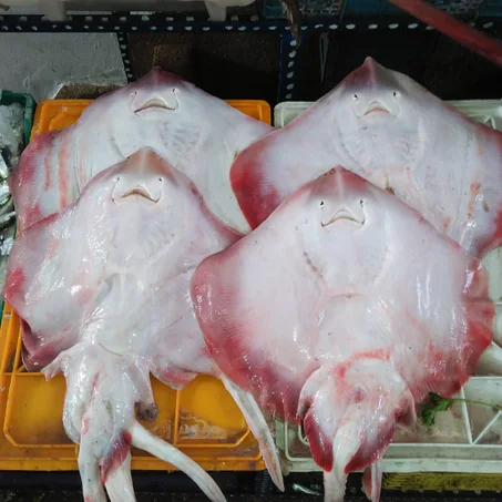 Raya 1Kg  الرايا