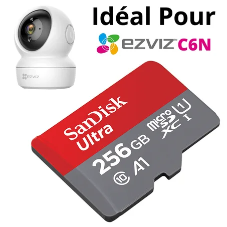 SanDisk Carte Mémoire MicroSDHC Ultra 256 Go + Adaptateur SD, Vitesse de Lecture Allant Jusqu'à 100MB/S, Classe 10, U1, Homologuée A1