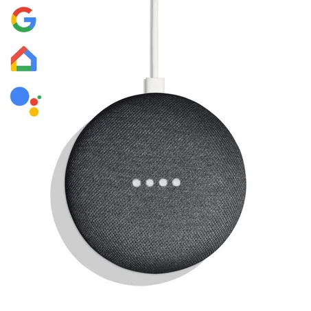 Google Home Mini Assistant Vocal