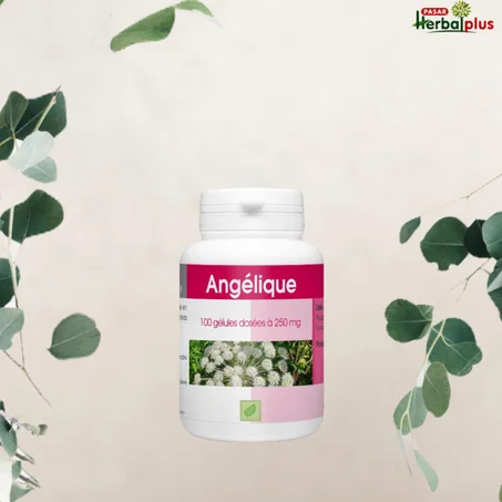 حشيشة الملاك     ANGELIQUE