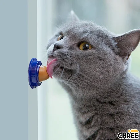 VitaCat™ - Vitamin Pacifier for Cat