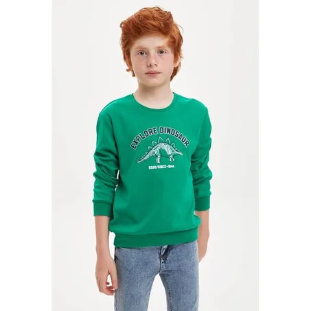 Defacto SWEATSHIRT - VERT