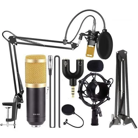 Condenser Microphone Broadcasting Studio, BM-800 professionnel