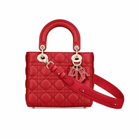 LADY DIOR MY ABCDIOR BAG