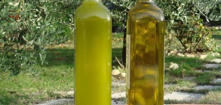 زيت الزيتون