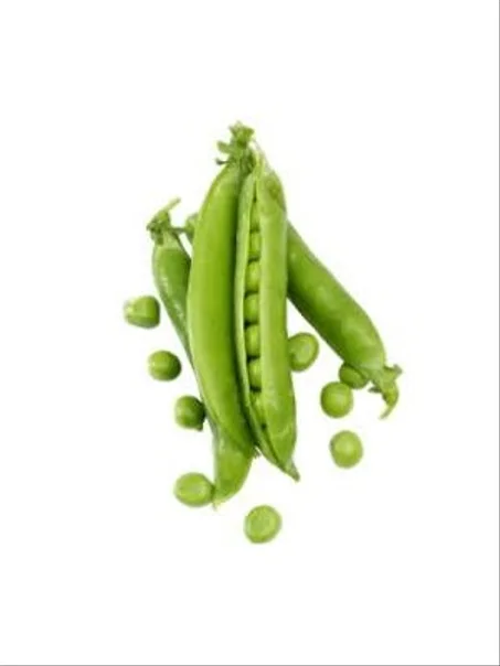 Petits Pois - جلبانة