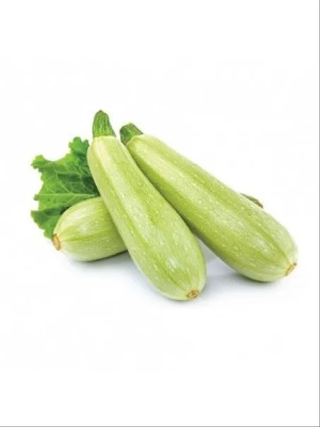 COURGETTE - كوغجيت