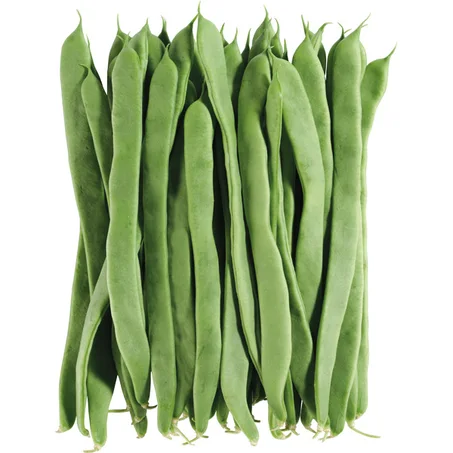 1 KG - Judías Verdes