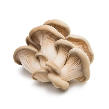 1 Bandeja de Setas (300g)