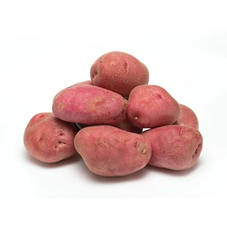 1 KG - Patata Roja