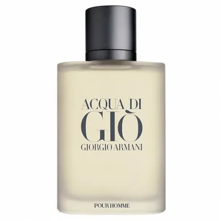ACQUA DI GIO HOMME