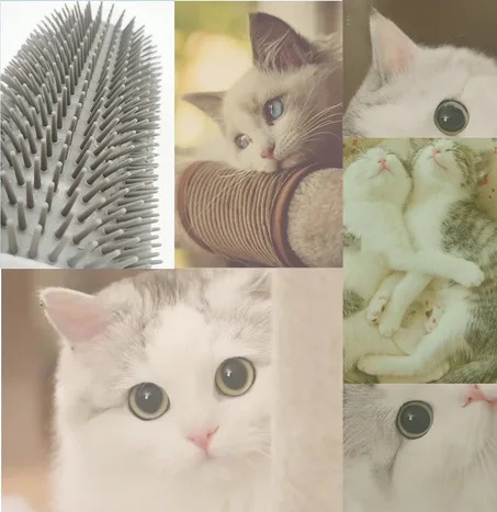 Cat Grooming Brush