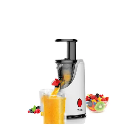 SLOW JUICER