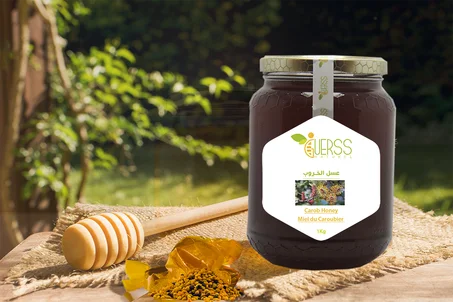 عسل الخروب