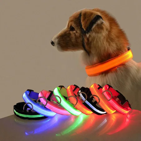 Collier lumineux pour animal de compagnie