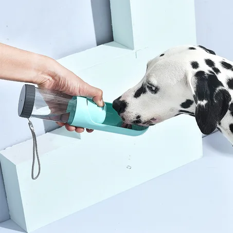 Bouteille d'eau Portable pour chien chat 300ml