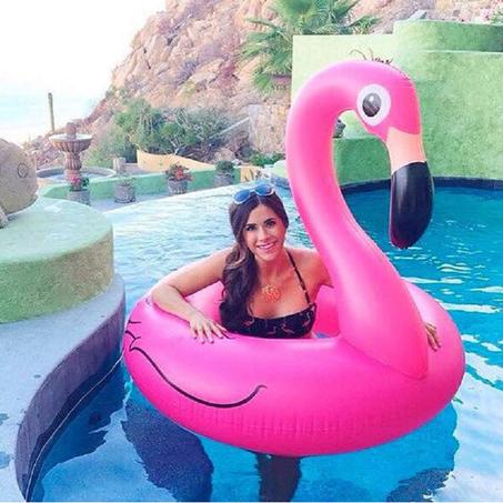 Flamingo Swimming float Pool