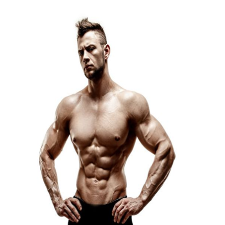 CONSTRUCTION MUSCULAIRE