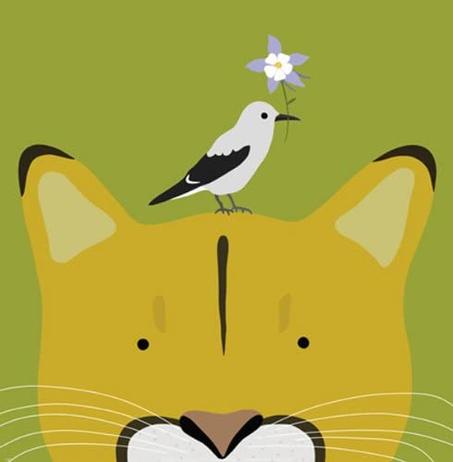 Chat