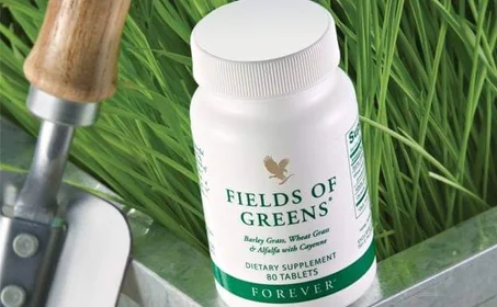 Fields Of Greens - الحقول الخضراء