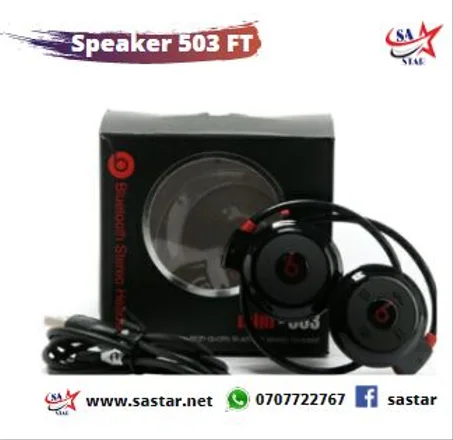 Speaker 503 FT