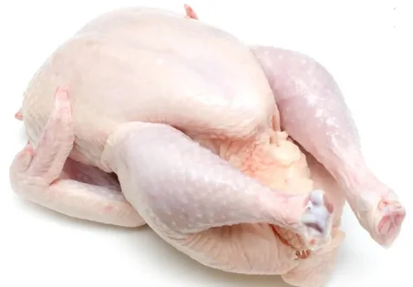 الدجاج الرومي