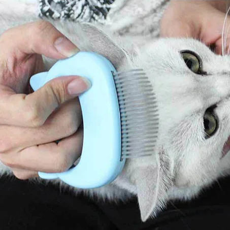 Pet Cat Dog Massage Shell Comb Grooming Hair Removal Shedding Cleaning Brush