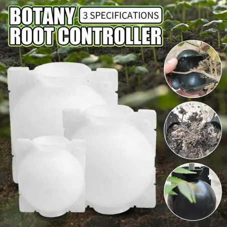 Plant Root Growth Box