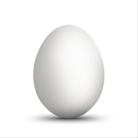 بيض أبيض