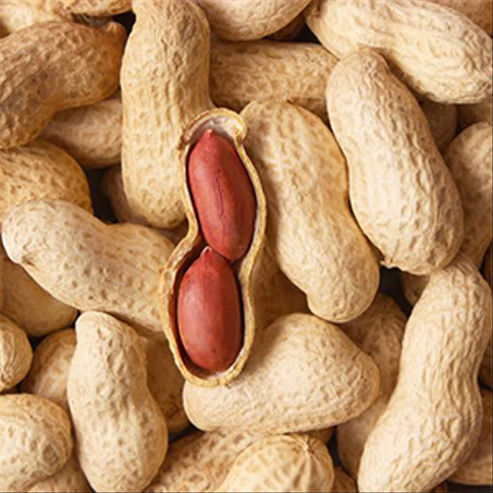 سوداني بقشره