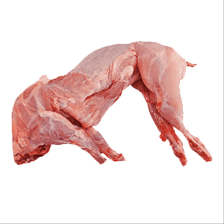 أرانب طازجة