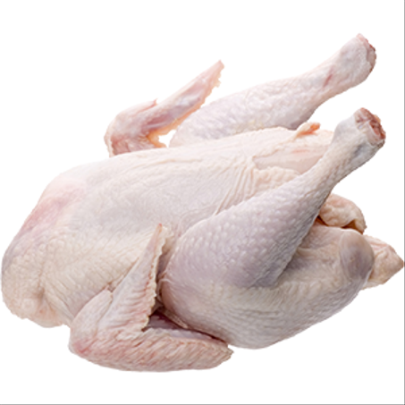 ديك رومي طازج