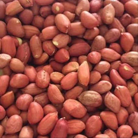 سوداني مقشر